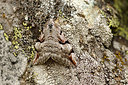 BUITEN BEELD Foto: 261248