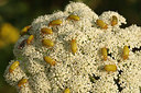 BUITEN BEELD Foto: 261253
