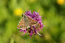 BUITEN BEELD Foto: 261254