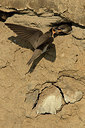 BUITEN BEELD Foto: 261345