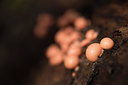 BUITEN BEELD Foto: 261401