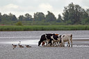 BUITEN BEELD Foto: 261434