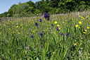 BUITEN BEELD Foto: 261513