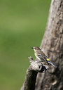 BUITEN BEELD Foto: 261538