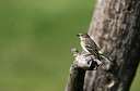 BUITEN BEELD Foto: 261546