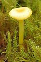 BUITEN BEELD Foto: 261699