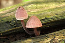BUITEN BEELD Foto: 261709