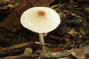 BUITEN BEELD Foto: 261712