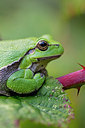 BUITEN BEELD Foto: 261736