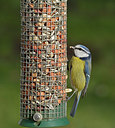 BUITEN BEELD Foto: 261747