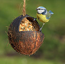 BUITEN BEELD Foto: 261749