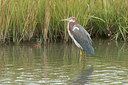 BUITEN BEELD Foto: 261807