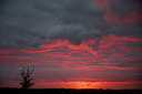 BUITEN BEELD Foto: 261822