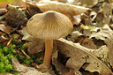 BUITEN BEELD Foto: 261830
