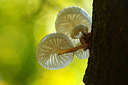 BUITEN BEELD Foto: 261880