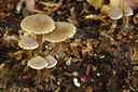 BUITEN BEELD Foto: 261889