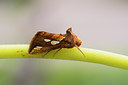 BUITEN BEELD Foto: 261911