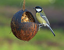 BUITEN BEELD Foto: 261925