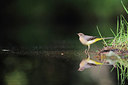 BUITEN BEELD Foto: 262022