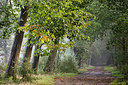 BUITEN BEELD Foto: 262285