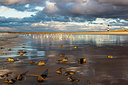 BUITEN BEELD Foto: 262376