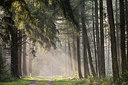 BUITEN BEELD Foto: 262377