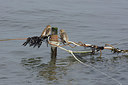BUITEN BEELD Foto: 262409