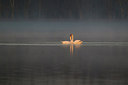 BUITEN BEELD Foto: 262458