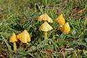 BUITEN BEELD Foto: 262501
