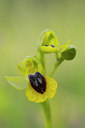 BUITEN BEELD Foto: 262563