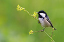 BUITEN BEELD Foto: 262692