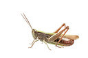 BUITEN BEELD Foto: 262722