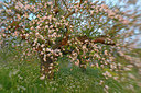 BUITEN BEELD Foto: 262793