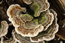 BUITEN BEELD Foto: 262794