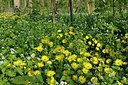 BUITEN BEELD Foto: 262819