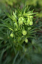 BUITEN BEELD Foto: 262830