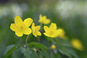 BUITEN BEELD Foto: 262831