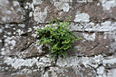 BUITEN BEELD Foto: 262879