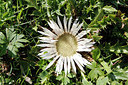 BUITEN BEELD Foto: 262902