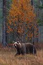 BUITEN BEELD Foto: 262936