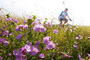 BUITEN BEELD Foto: 262950