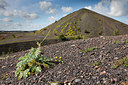 BUITEN BEELD Foto: 262975