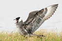 BUITEN BEELD Foto: 263042