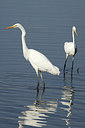 BUITEN BEELD Foto: 263046