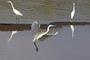 BUITEN BEELD Foto: 263047