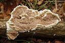 BUITEN BEELD Foto: 263063