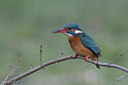 BUITEN BEELD Foto: 263129