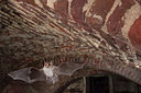 BUITEN BEELD Foto: 263232