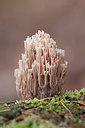 BUITEN BEELD Foto: 263259