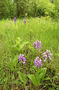 BUITEN BEELD Foto: 263283